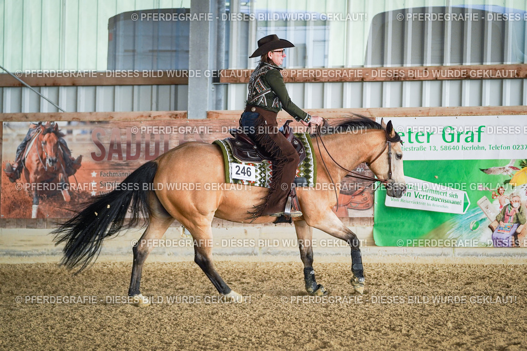 DSC08339 | Pferdegrafie