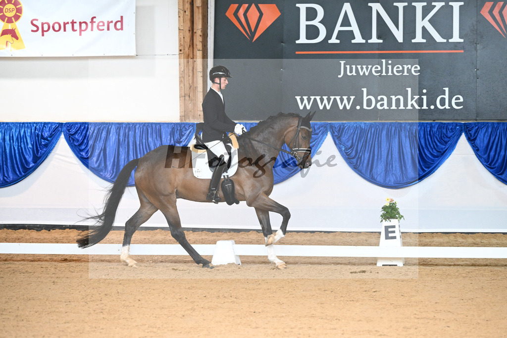 Kat-Nr. 114 Quantissimo_Steinfatt_14240172 | hf-fotografie - Realisiert mit Pictrs.com