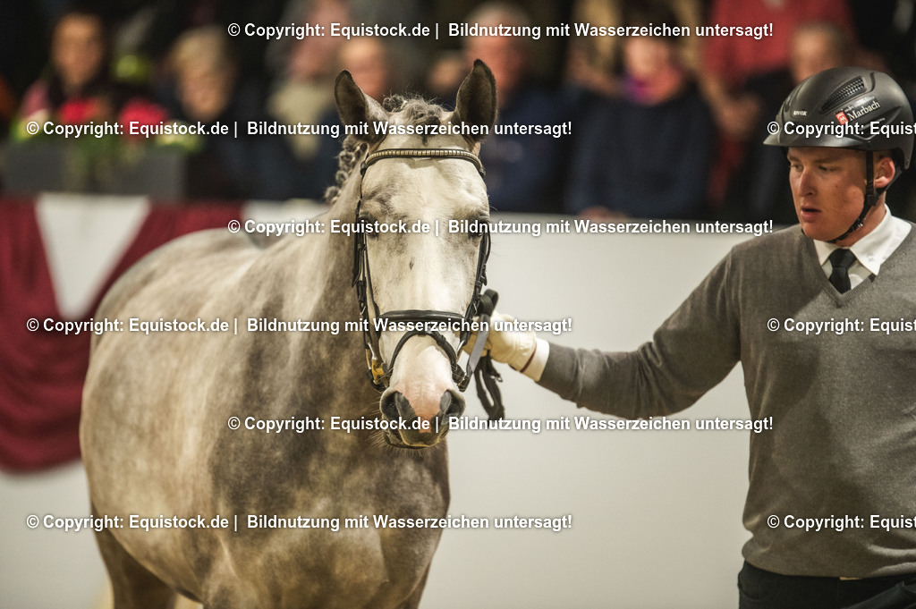 20240302_Hengstvorstellung_Marbach_TOMsPiC_0973 | equistock
