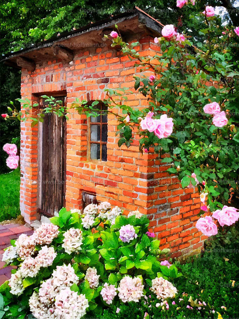 PDM2_7062_HP-Gartenhaus_60x80 | DIGITALKUNST. Rosa Blütentraum. __ Backstein -Haus mit Hortensien und Rosenblüten. Garten von " HAUS PETERS " in Tetenbüll auf Eiderstedt. - Realisiert mit Pictrs.com
