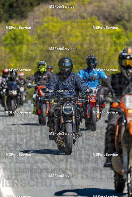 MSFotoServiceXXX122 | MSFotoService - Realisiert mit Pictrs.com