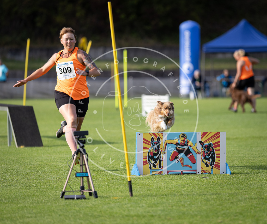 Pfotenfotografie_DV3A2752 | Hundefotografie, Tierfotograf, Pfotenfotografie, Fotoshooting Hund, Hunde Portrait, Hundesport, Hundeportraits, Heideshooting, Hunde, Sportfotograf, Hundefotograf, Turnierhundsport, THS,  - Realisiert mit Pictrs.com