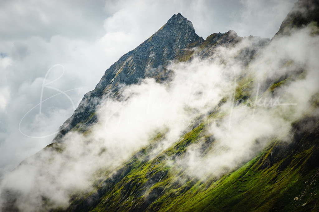 _DSC9674 | Baumgartner Markus Fotografie