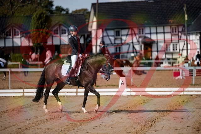 2026_10_03_Siefer-Hof_113334_Z63_19894245 | Professionelle Reitsport-, Turnier- und Eventfotografie von Robert Broda. Galerien mit ausgewählten und bearbeiteten Bildern direkt online ansehen und bestellen.