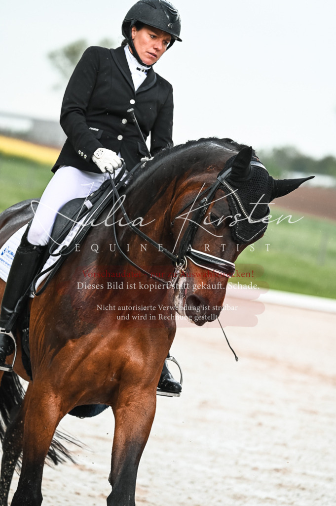 DSC_4194 | Pferde- und Turnierfotografie in Westsachsen. Pferdeportraits, Auftragszeichnungen und intuitive Kunst.