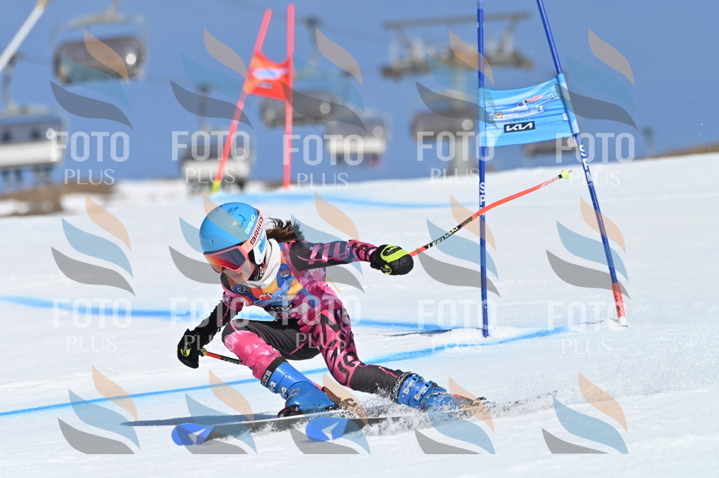 BGV_8876 | holidayphoto