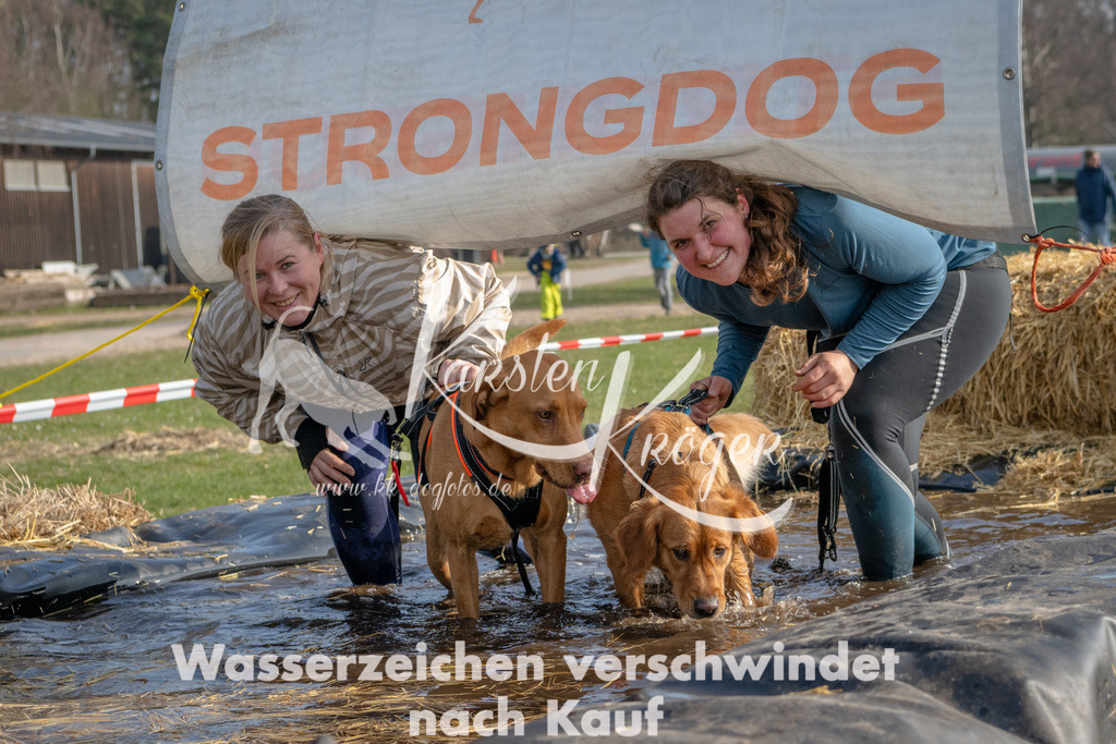 _ZZ91523 | kk-dogfotos