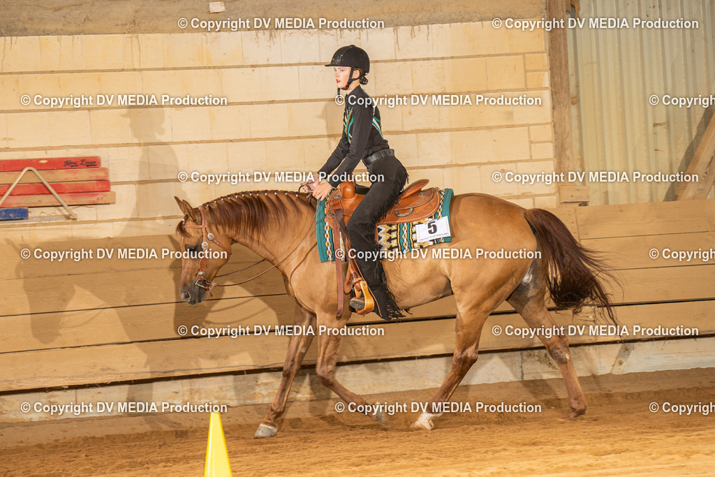 NID03537 | dv-media-shop - Realisiert mit Pictrs.com