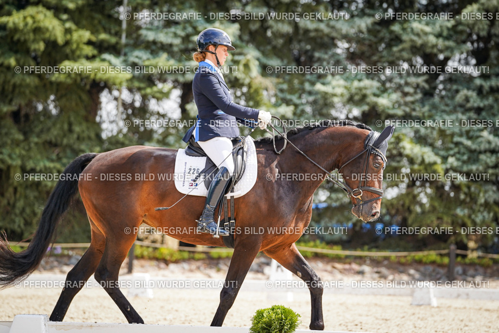 DSC09253 | Pferdegrafie