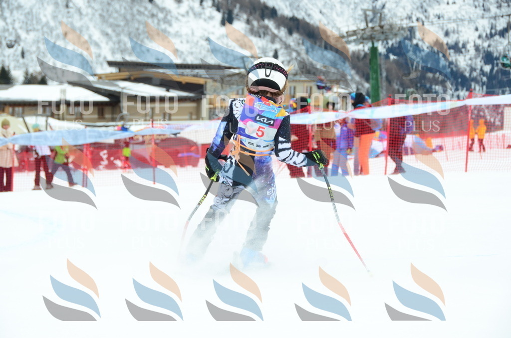 DSC_0677 | holidayphoto