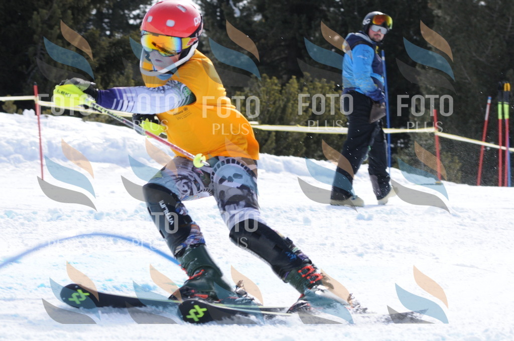 C9451 | holidayphoto