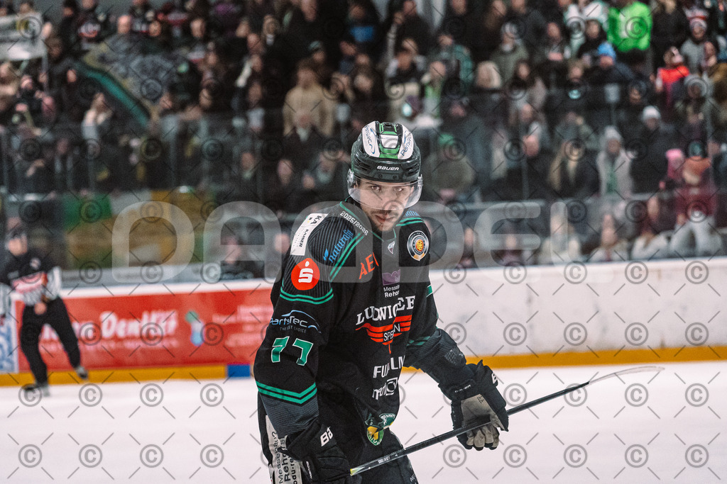 Alligators_vs_Lindau_20_02_2026-40 | Höchstadt Alligators Fotogalerie: Eishockey-Action aus Franken. Professionelle Spielfotos, Portraits & Stadionbilder zum Download. Jetzt entdecken! - Realisiert mit Pictrs.com