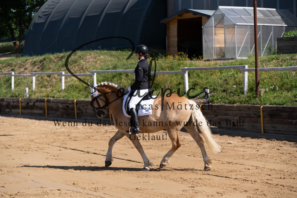 A7V07728 | Turnier/Reitfotograf