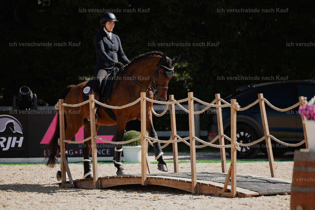 Nadine22_FHC2025-55 | working equitationturnier fotograf videograf stoibphotography marixx film working equitation deutschland reitsport turnierfotografie eventfotografie equestrian events