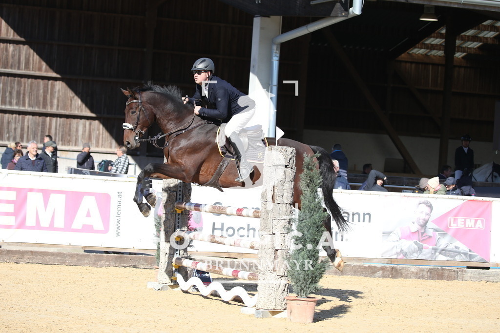 DL2Q1725 | Willkommen bei Brunnmayr - Design & Fotografie – Ihrem Spezialisten für Reitturniere und Pferdeveranstaltungen in Oberösterreich, Salzburg und Bayern! Seit über 17 Jahren sind wir leidenschaftlich dabei.