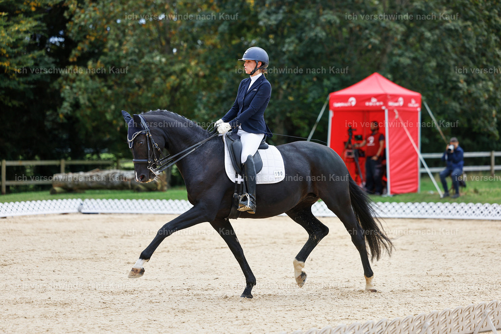 04_1-190-Dressur M__ -StoibPH-StoibPH-2642 | working equitationturnier fotograf videograf stoibphotography marixx film working equitation deutschland reitsport turnierfotografie eventfotografie equestrian events