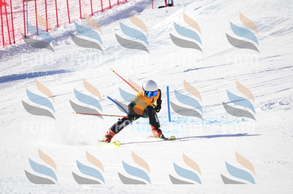 C6385 | holidayphoto