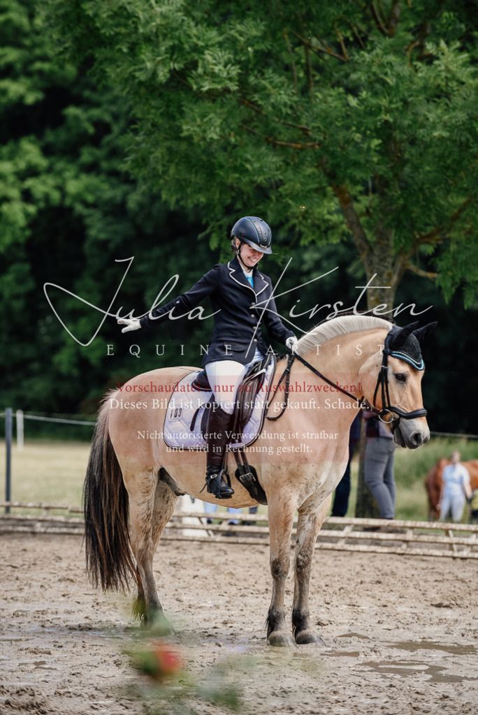 DSC_1620 | Pferde- und Turnierfotografie in Westsachsen. Pferdeportraits, Auftragszeichnungen und intuitive Kunst.