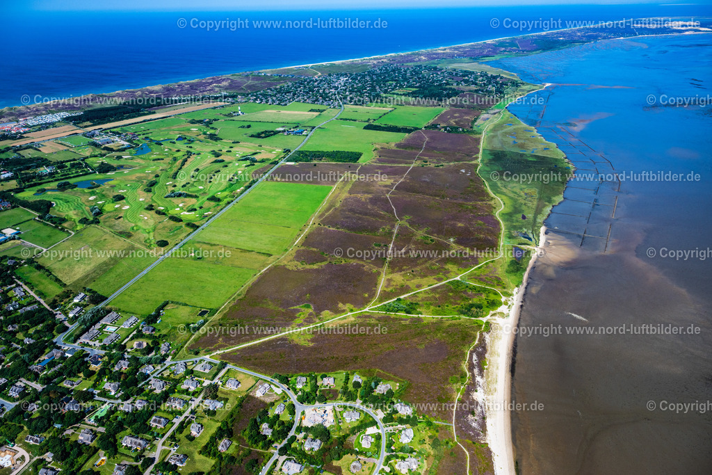Sylt_Braderup_Braderuper_Heide_ELS_9336130825 | WENNINGSTEDT-BRADERUP (SYLT) 21.06.2025 Küstenbereich der Nordsee - Insel in Wenningstedt-Braderup (Sylt) Braderupper Heide Landschaft im Bundesland Schleswig-Holstein. // Coastal area of a??a??the North Sea - island in Wenningstedt-Braderup (Sylt) Braderupper Heide landscape in the state of Schleswig-Holstein. Foto: Martin Elsen