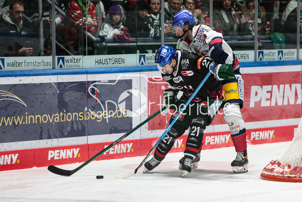 Augsburger Panther - Eisbaeren Berlin | David STIELER (AEV #21) im Duell mit Lewis ZERTER-GOSSAGE (EBB #79)