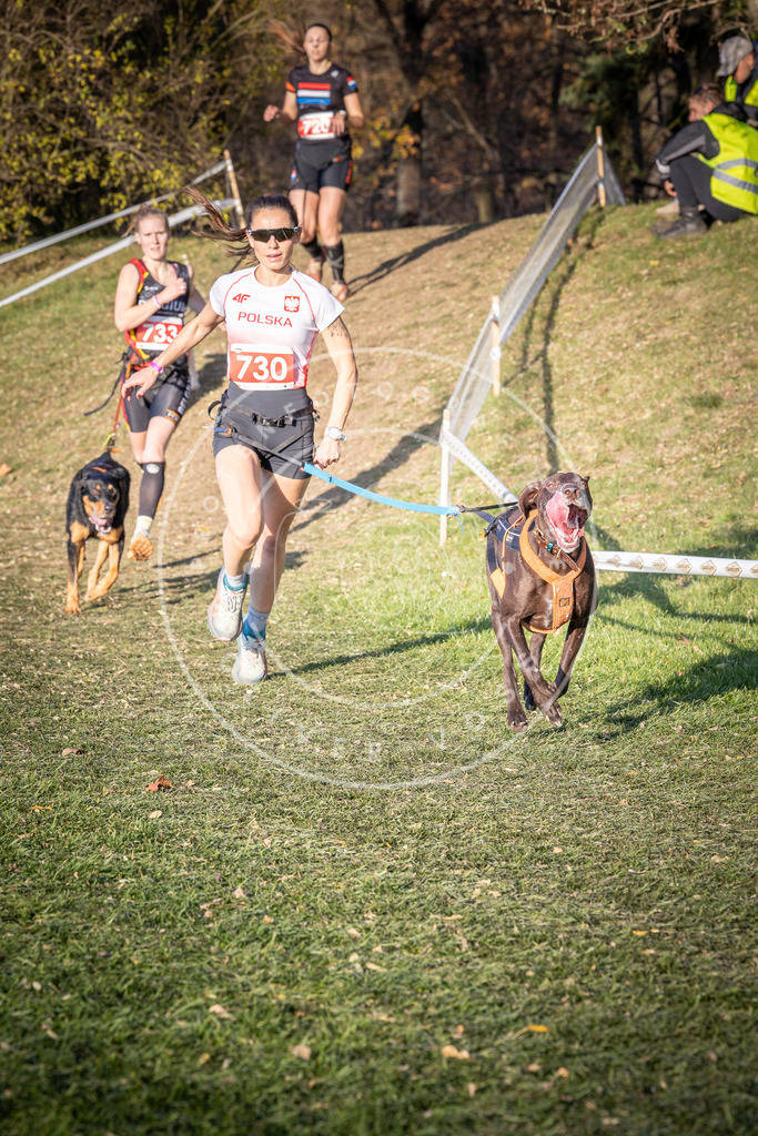 CaniXpix_0L8A9740 | Hundefotografie, Tierfotograf, Pfotenfotografie, Fotoshooting Hund, Hunde Portrait, Hundesport, Hundeportraits, Heideshooting, Hunde, Sportfotograf, Hundefotograf, Turnierhundsport, THS,  - Realisiert mit Pictrs.com