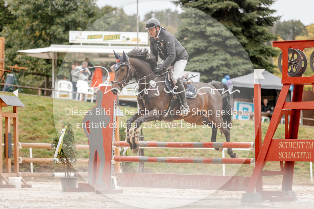 3I6A5892 | Stimmungsvolle Portraits und Reitsportfotografie im Ruhrgebiet und im Münsterland.

Pferdefotografie, Hundefotografie, Tierfotografie, Reportagen, Portraits von Tier und Mensch, Turnierfotografie in Bochum, Recklinghausen, Marl, Haltern am See, Dülmen.. - Realisiert mit Pictrs.com