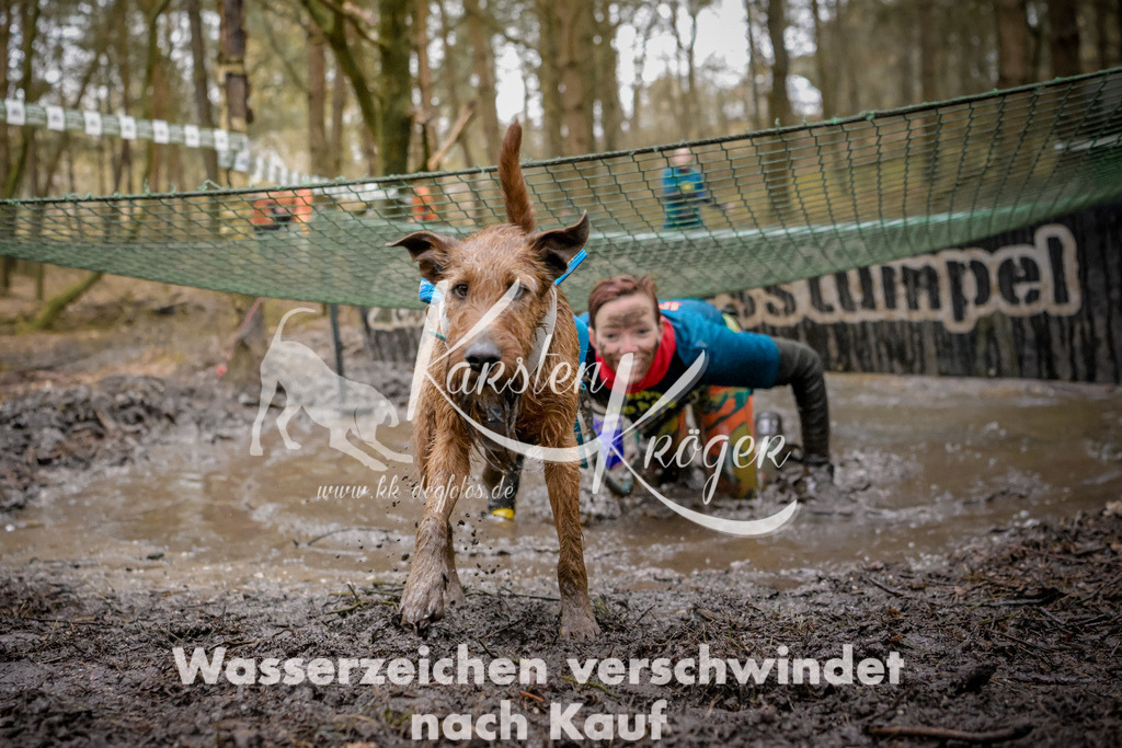 0917_ZZ97151 | kk-dogfotos