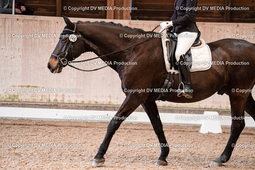 Dressur Tag 2-244 | dv-media-shop - Realisiert mit Pictrs.com