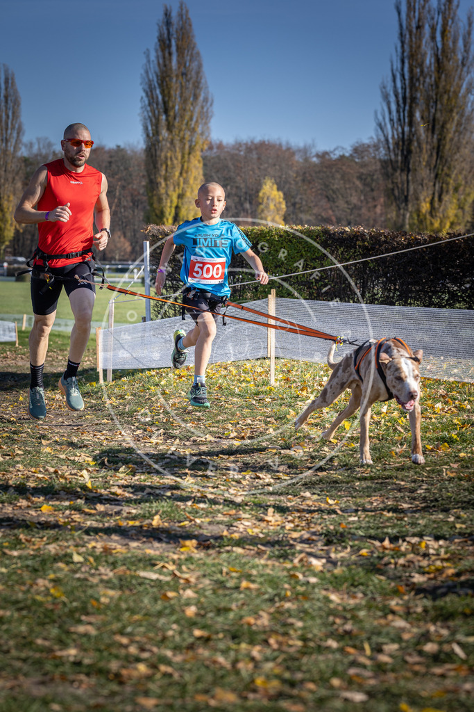 CaniXpix_DV3A7803 | Hundefotografie, Tierfotograf, Pfotenfotografie, Fotoshooting Hund, Hunde Portrait, Hundesport, Hundeportraits, Heideshooting, Hunde, Sportfotograf, Hundefotograf, Turnierhundsport, THS,  - Realisiert mit Pictrs.com