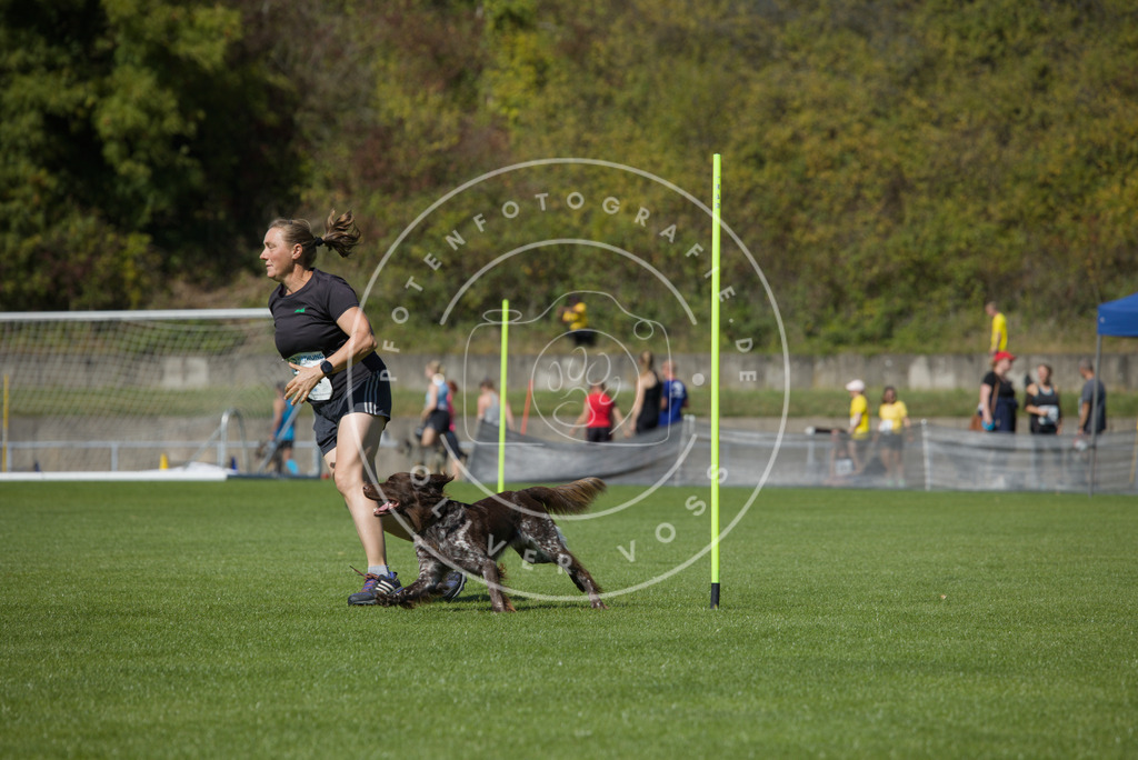 0L8A6543 | Hundefotografie, Tierfotograf, Pfotenfotografie, Fotoshooting Hund, Hunde Portrait, Hundesport, Hundeportraits, Heideshooting, Hunde, Sportfotograf, Hundefotograf, Turnierhundsport, THS,  - Realisiert mit Pictrs.com