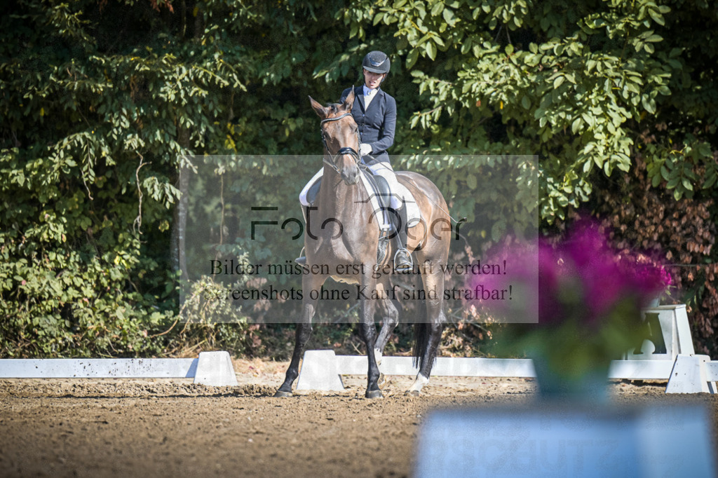 DOS_3249 | Entdecke hochwertige Reitturnierfotos von Foto Oger. Professionell, emotional und authentisch – jetzt Lieblingsmomente im Shop bestellen.Deutschlandweite Turnierfotografie. - Realisiert mit Pictrs.com