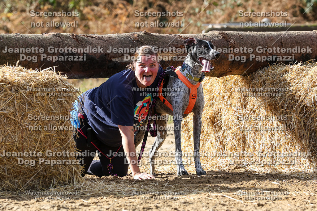 Dog Paparazzi - Strongdog 10-25-5217 | Dog Paparazzi Jeanette Grottendiek Fotografie & Videografie - Realisiert mit Pictrs.com