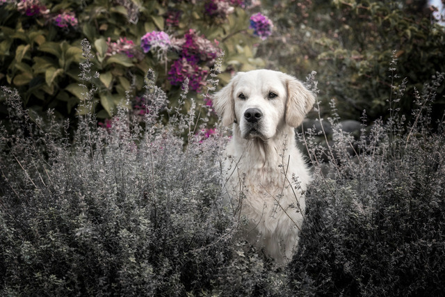 Inno-05417 | Christiane Heggemann - Realisiert mit Pictrs.com