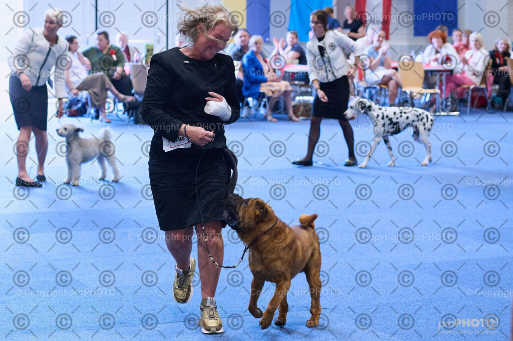 202406_ÖKV-IHA-Tulln24_DSC_4430 | proPHOTO - Realisiert mit Pictrs.com