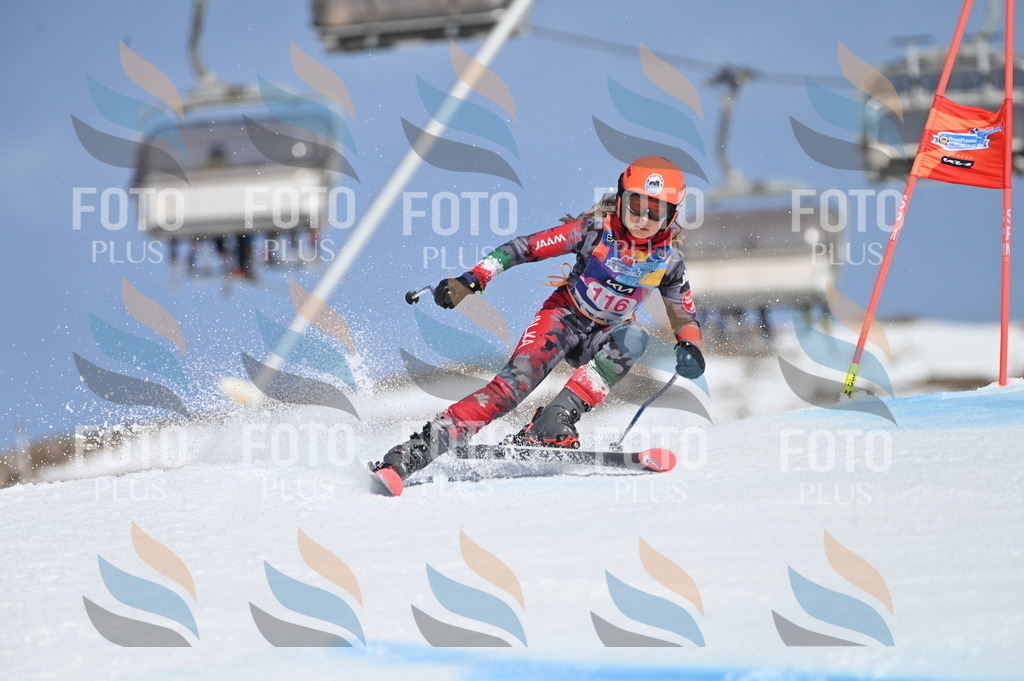 BGV_9731 | holidayphoto