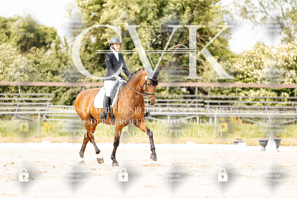 CK900934 | Turnierfotografie Pferdefotografie Trier Rheinland-Pfalz Pferdesport Reitsport Tierfotografie Sportfotografie Pferdevideo Pferdevideografie Equestrianvideography equestrianphotography  - Realisiert mit Pictrs.com
