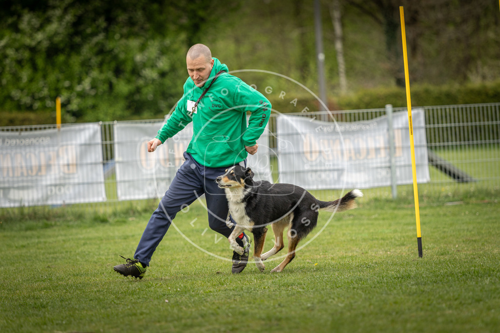 Pfotenfotografie_DV3A2160 | Hundefotografie, Tierfotograf, Pfotenfotografie, Fotoshooting Hund, Hunde Portrait, Hundesport, Hundeportraits, Heideshooting, Hunde, Sportfotograf, Hundefotograf, Turnierhundsport, THS,  - Realisiert mit Pictrs.com