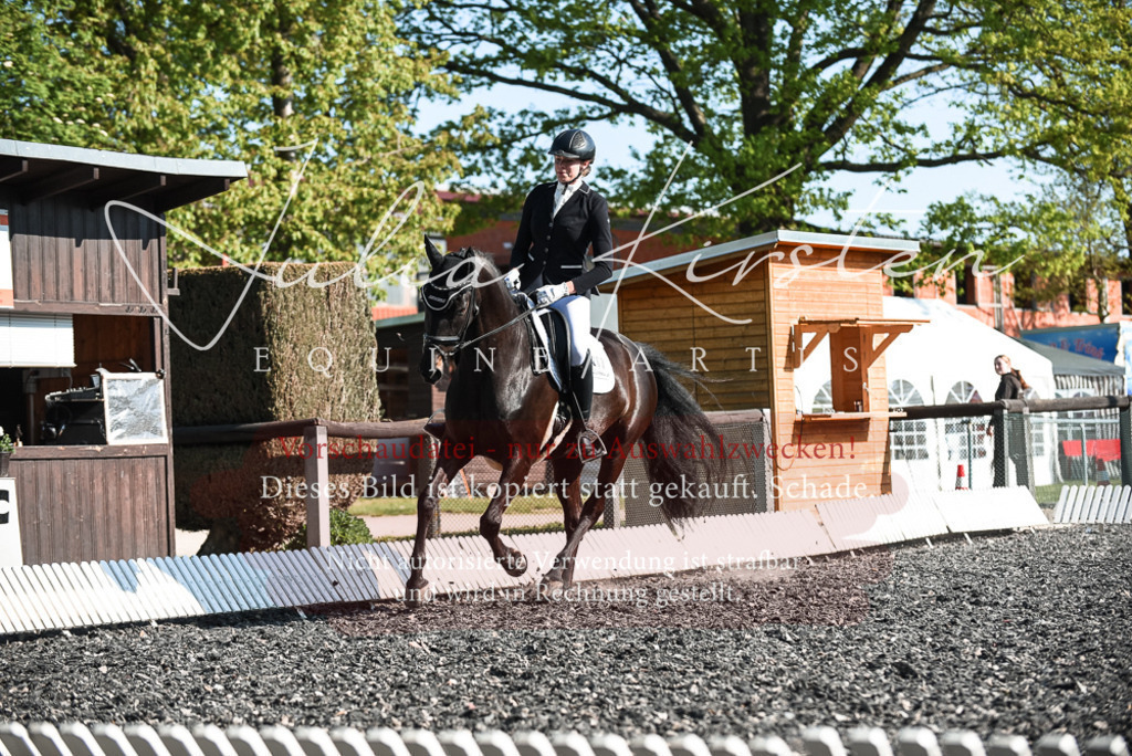 DSC_8379 | Pferde- und Turnierfotografie in Westsachsen. Pferdeportraits, Auftragszeichnungen und intuitive Kunst.