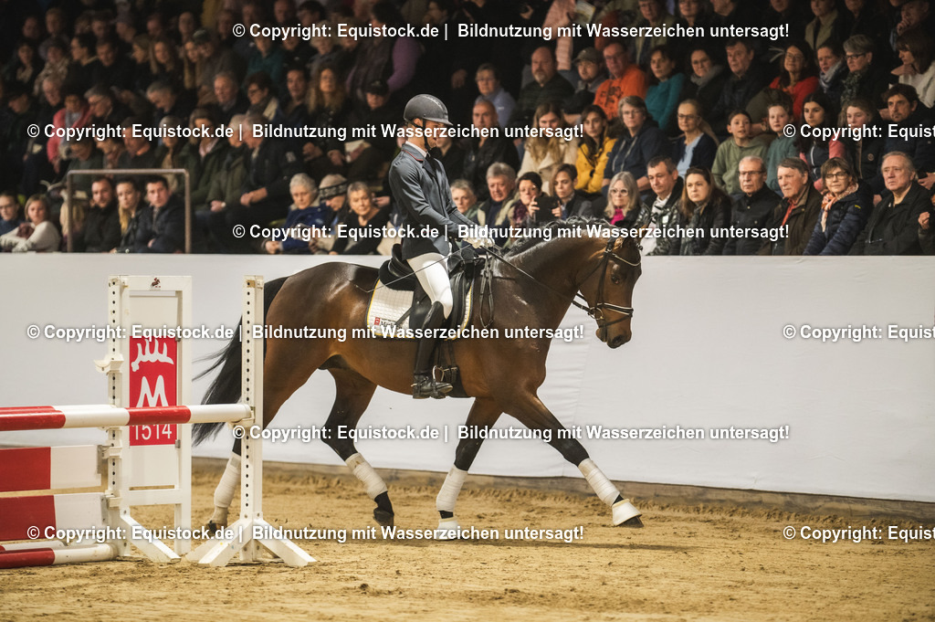 20240302_Hengstvorstellung_Marbach_TOMsPiC_0123 | equistock