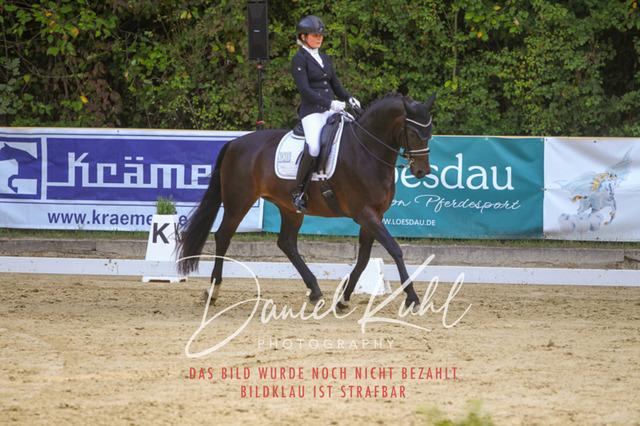 DKP41565 | Turniersportfotografie; Pferdefotografie; Dressurfotografie