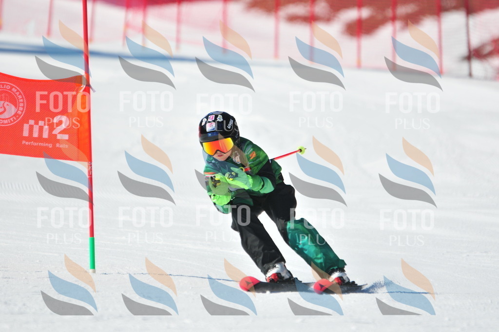 C3072 | holidayphoto