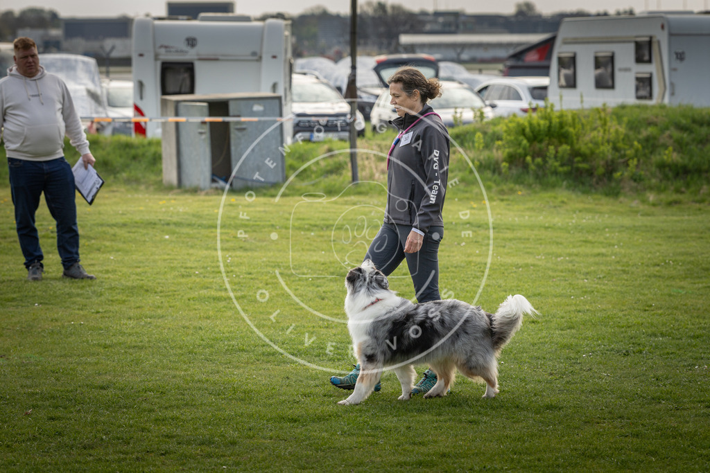 Pfotenfotografie_DV3A4906 | Hundefotografie, Tierfotograf, Pfotenfotografie, Fotoshooting Hund, Hunde Portrait, Hundesport, Hundeportraits, Heideshooting, Hunde, Sportfotograf, Hundefotograf, Turnierhundsport, THS,  - Realisiert mit Pictrs.com