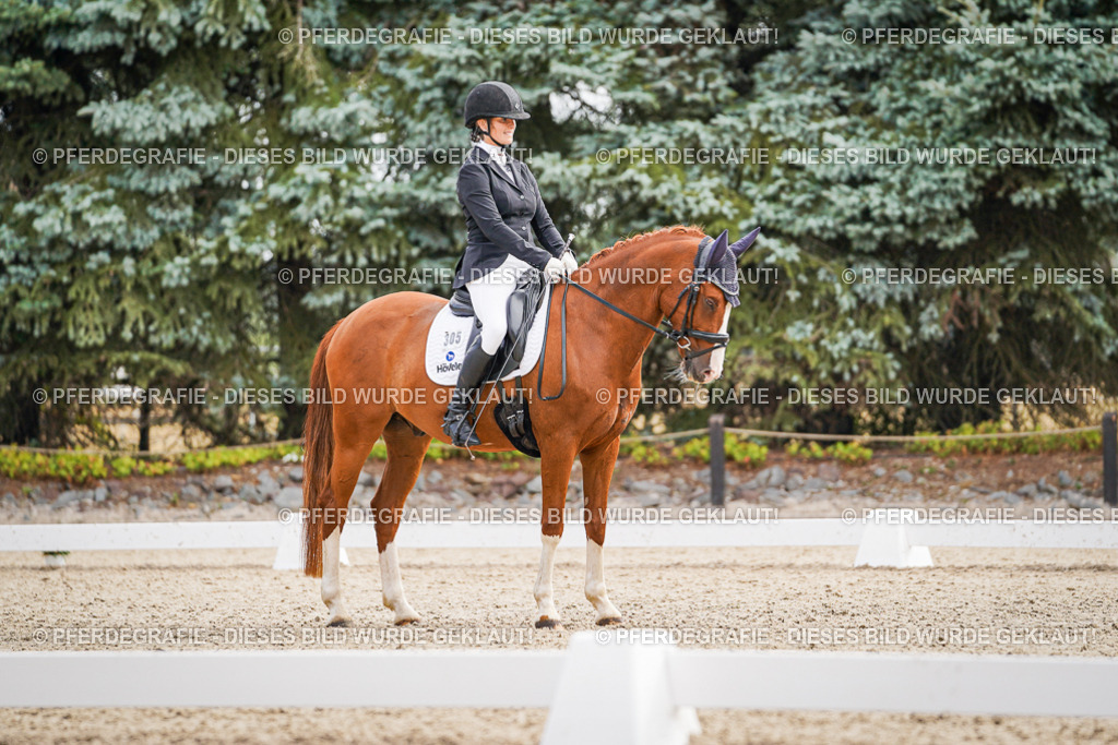 DSC01733 | Pferdegrafie