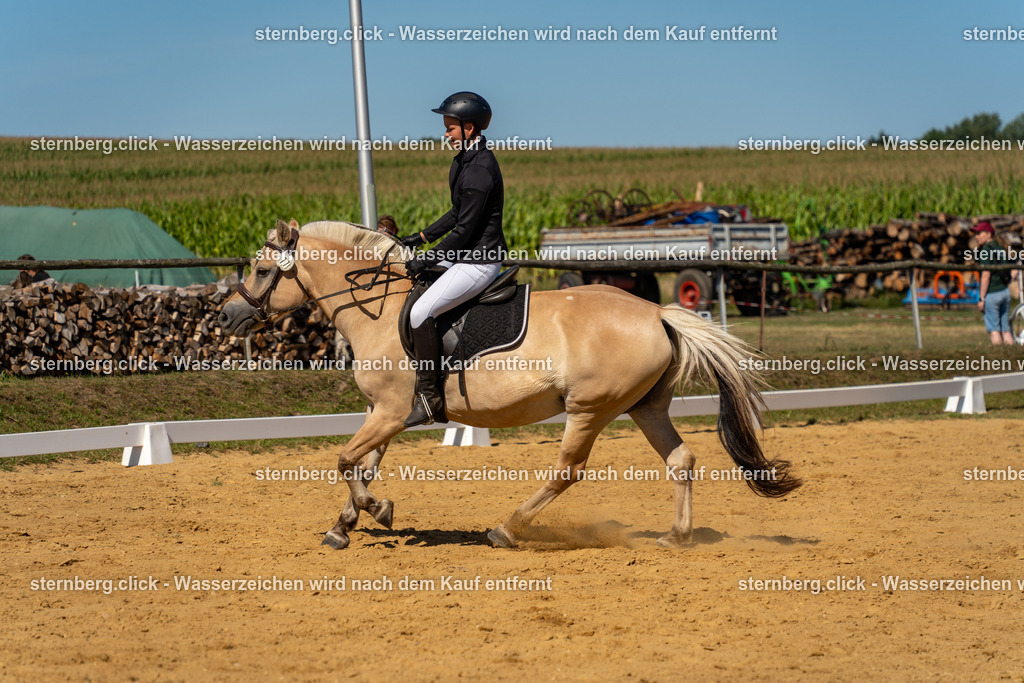 2026-08-09_09-29-44_WBO_Pulsnitz | sternberg.click - Realisiert mit Pictrs.com