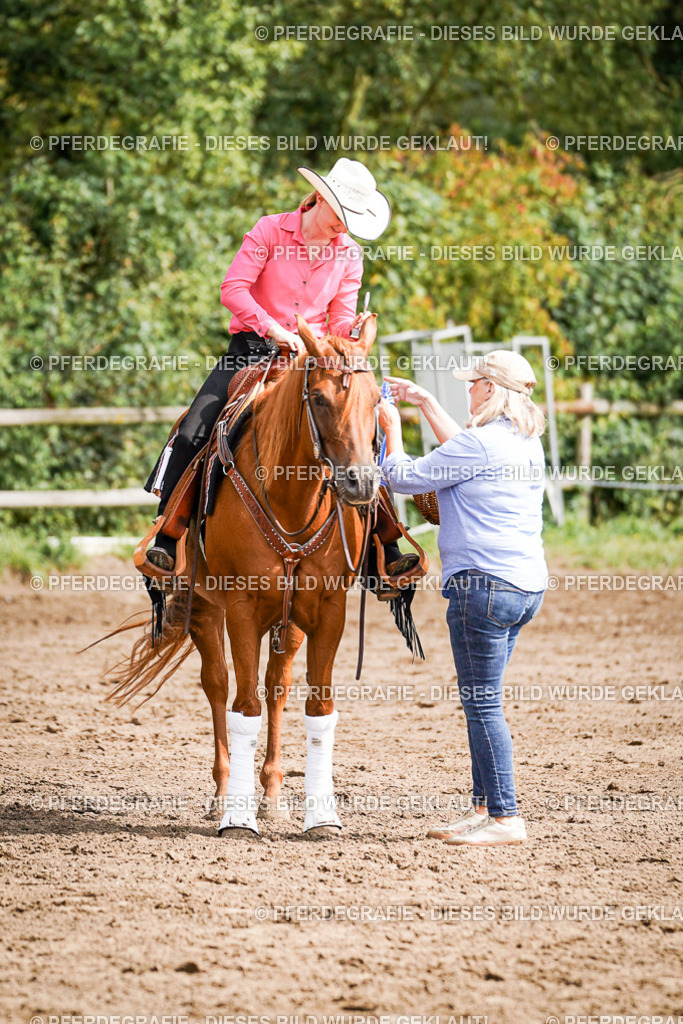 DSC08431 | Pferdegrafie