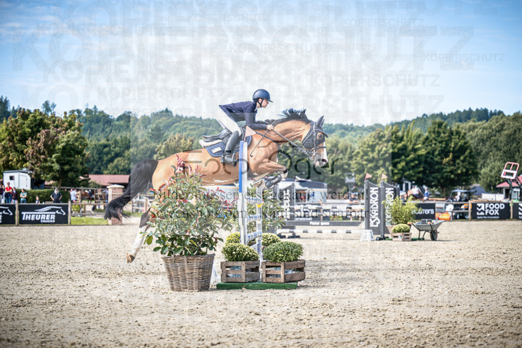 DOS_0371 | Entdecke hochwertige Reitturnierfotos von Foto Oger. Professionell, emotional und authentisch – jetzt Lieblingsmomente im Shop bestellen.Deutschlandweite Turnierfotografie. - Realisiert mit Pictrs.com