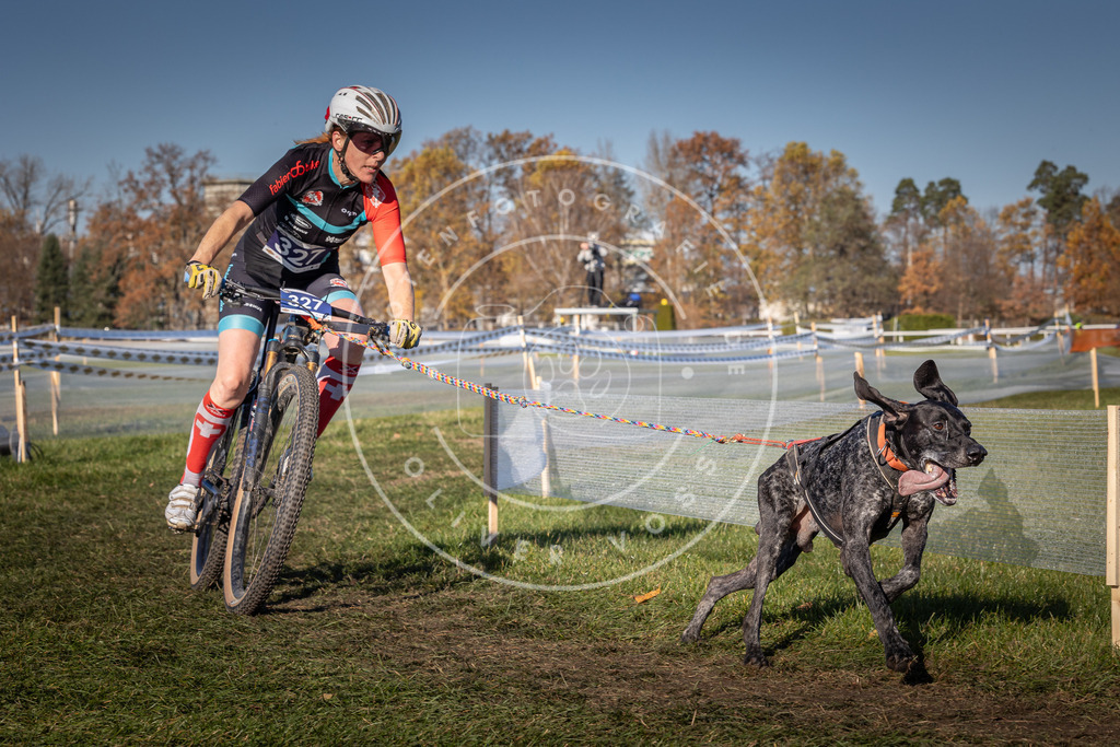 CaniXpix_0L8A5779 | Hundefotografie, Tierfotograf, Pfotenfotografie, Fotoshooting Hund, Hunde Portrait, Hundesport, Hundeportraits, Heideshooting, Hunde, Sportfotograf, Hundefotograf, Turnierhundsport, THS,  - Realisiert mit Pictrs.com