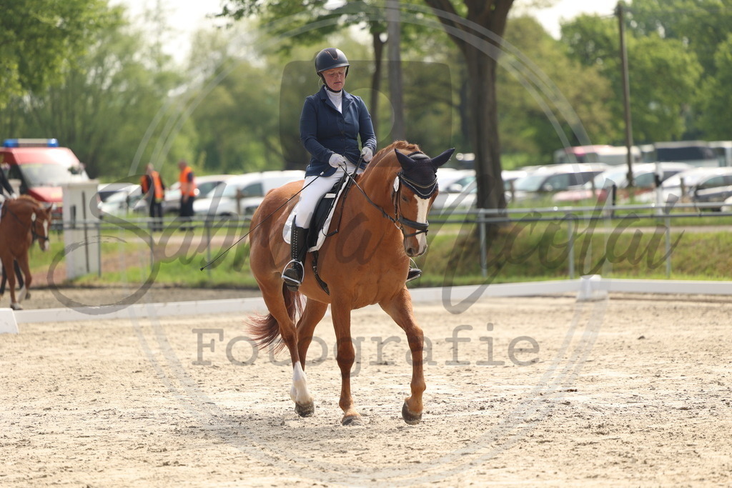 994A6468 | sabrinanicolaifotografie - Realisiert mit Pictrs.com