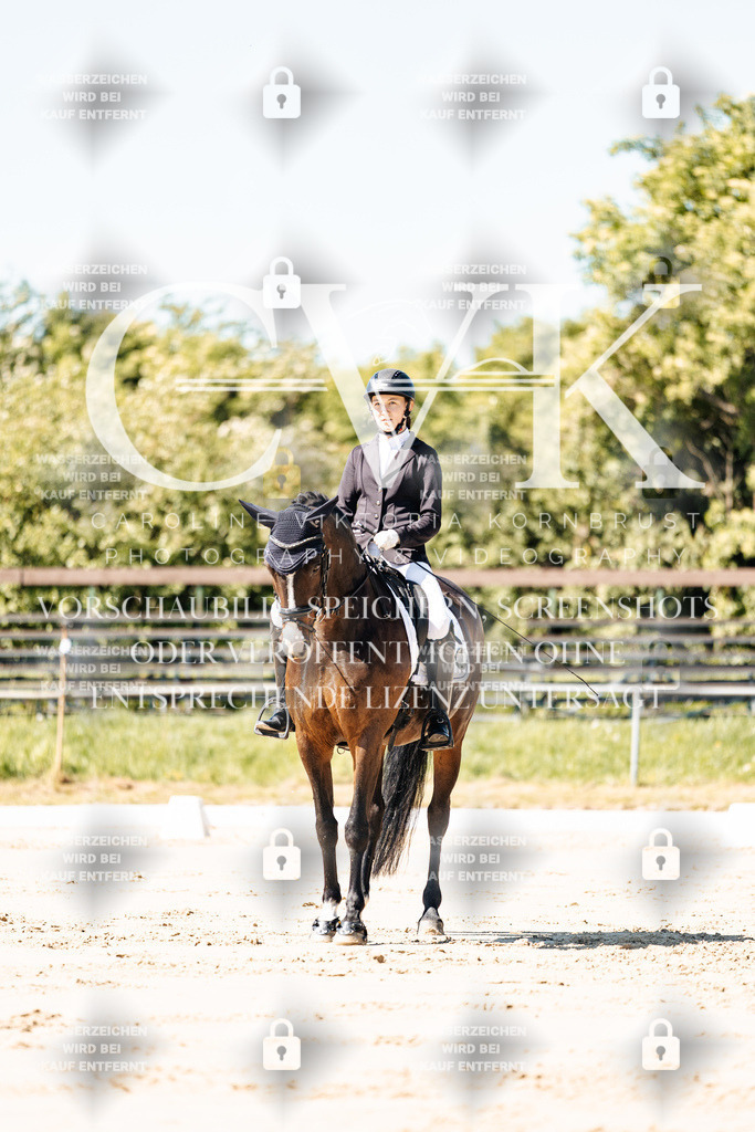 CK905004 | Turnierfotografie Pferdefotografie Trier Rheinland-Pfalz Pferdesport Reitsport Tierfotografie Sportfotografie Pferdevideo Pferdevideografie Equestrianvideography equestrianphotography  - Realisiert mit Pictrs.com