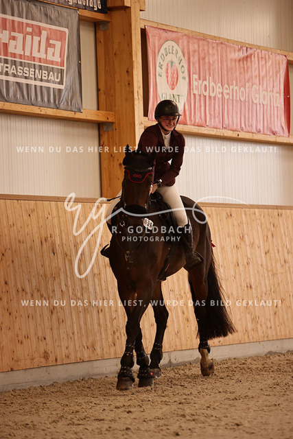 1J2A3039Leonie Ulrich_ Campino M 5_ Kn058_ Hohen Wieschendorf_ Glantz | Foto- und Videografie für alles rund ums Pferd. Hochwertige Bilder und Videos vom Spring- und Dressurreiten, Voltigieren & mehr. Jetzt aktuelle Veranstaltungen und Preise im Shop ansehen. - Realisiert mit Pictrs.com